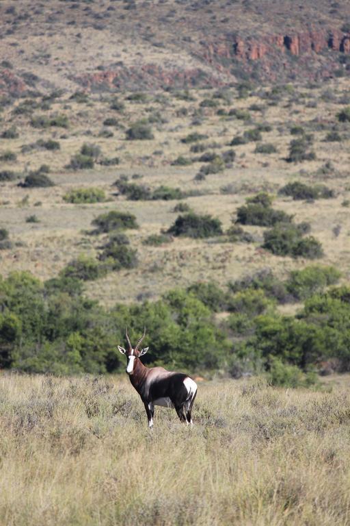 Ko Ka Tsara Bush Camp Villa Beaufort West Dış mekan fotoğraf