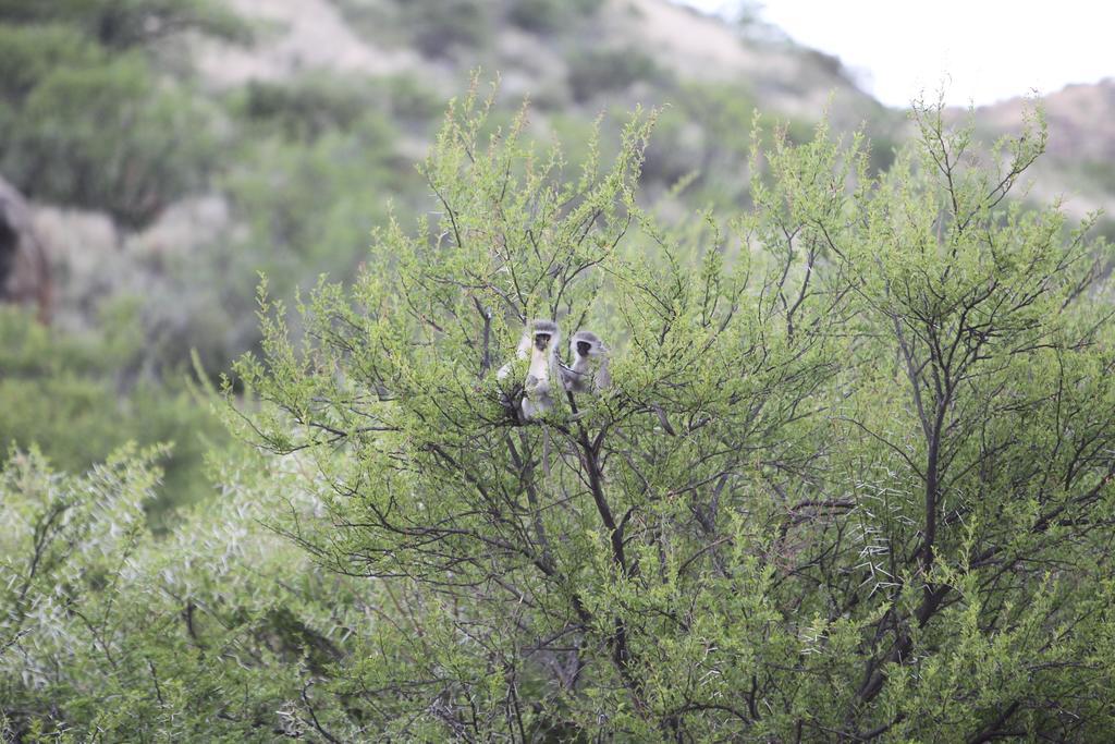 Ko Ka Tsara Bush Camp Villa Beaufort West Dış mekan fotoğraf