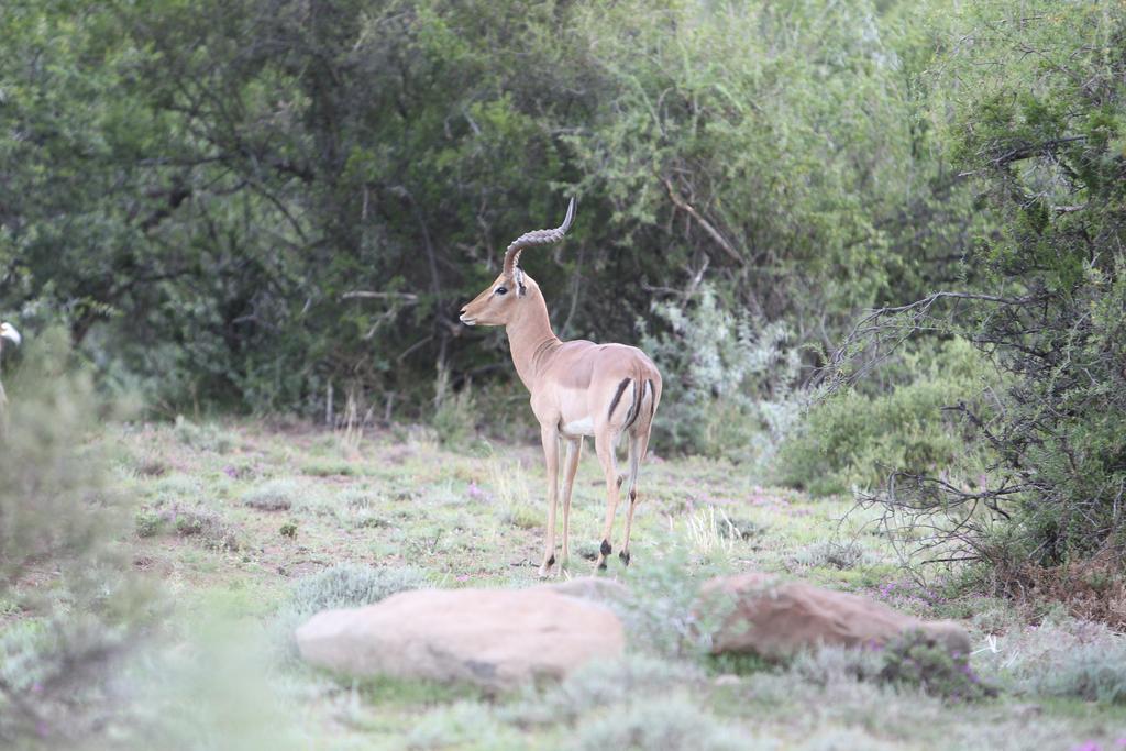 Ko Ka Tsara Bush Camp Villa Beaufort West Dış mekan fotoğraf